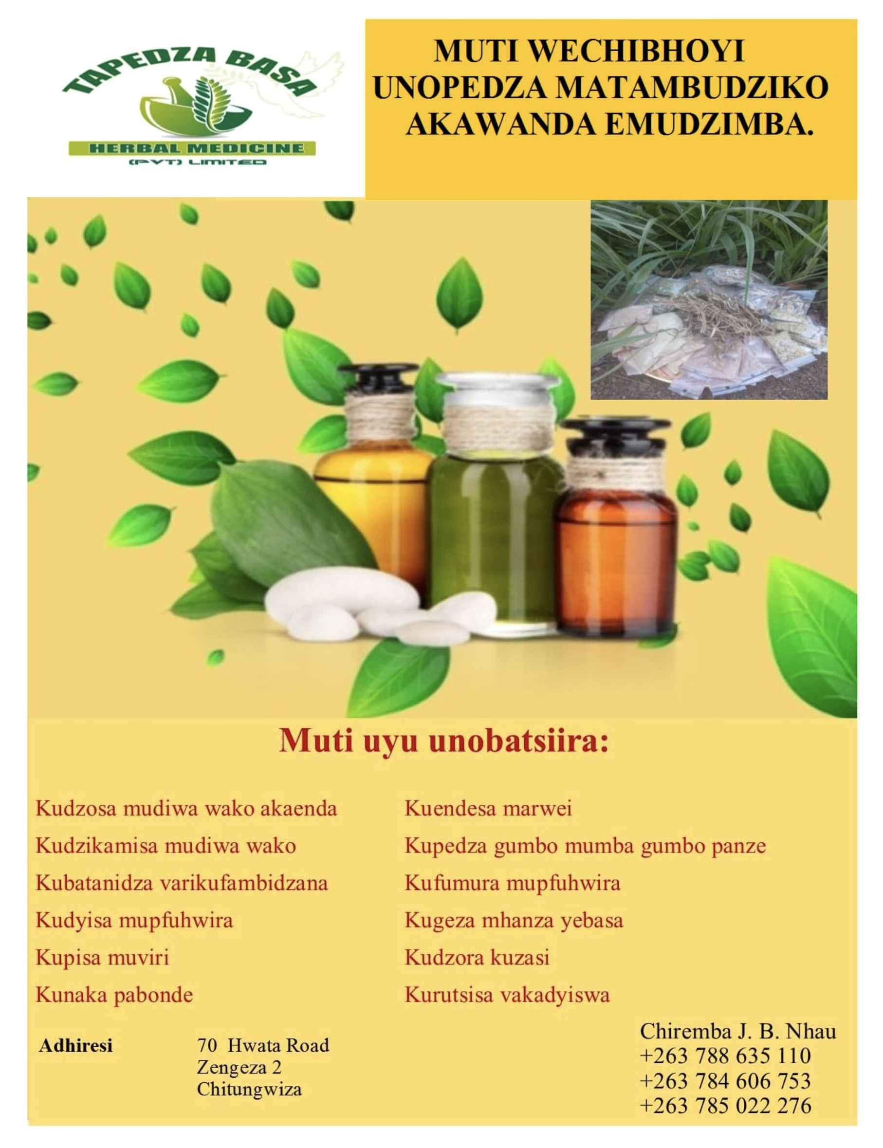 Herbal Medicine Treatment Options